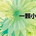 一颗小星星英语（小星星英语）