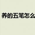 养的五笔怎么打字五笔颜（养的五笔怎么打）