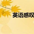 英语感叹句的用法（感叹句的用法）