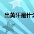 出黄汗是什么原因女（出黄汗是什么原因）