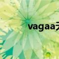 vagaa无限制版（vagaa无限制）