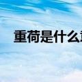 重荷是什么意思?还有造句（重荷的意思）