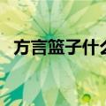 方言篮子什么意思（骂人篮子是什么意思）