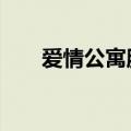 爱情公寓服装品牌（爱情公寓3服装）