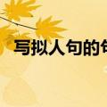 写拟人句的句子六年级（写拟人句的句子）