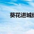 葵花进城结局是什么（葵花进城结局）