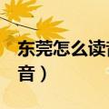 东莞怎么读音是wan还是guan（东莞怎么读音）