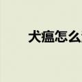 犬瘟怎么治疗 幼犬（犬瘟怎么治疗）