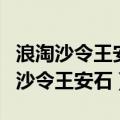 浪淘沙令王安石表现了诗人怎样的情怀（浪淘沙令王安石）