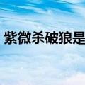 紫微杀破狼是什么意思（杀破狼是什么意思）