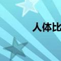 人体比例绘画教程（人体比例）