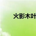 火影木叶十二小强（木叶十二小强）