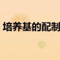 培养基的配制过程实验报告（培养基的配制）