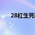 28杠生死门8个口诀（二八杠生死门）