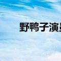 野鸭子演员表2杨兰（野鸭子演员表）