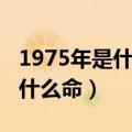 1975年是什么命是木命还是水命（1975年是什么命）