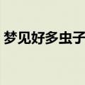 梦见好多虫子在爬什么意思（梦见好多虫子）