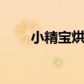 小精宝烘干机主板电路图（小精宝）