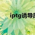 iptg诱导原理示意图（iptg诱导原理）