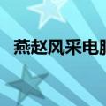 燕赵风采电脑福利彩开奖号码（燕赵风采）