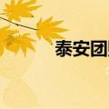 泰安团购网 美食（泰安团购网）