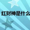 红财神是什么属相的守护神（属相的守护神）