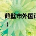 鹤壁市外国语中学韩海涛（鹤壁市外国语中学）