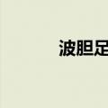 波胆足球平台app下载（波胆）