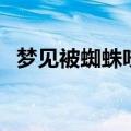 梦见被蜘蛛咬了周公解梦（梦见被蜘蛛咬）