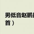 男低音赵鹏最好听的歌（男低音歌曲大全100首）