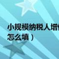 小规模纳税人增值税纳税申报表怎么填（增值税纳税申报表怎么填）