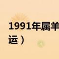 1991年属羊人的命运女（1991年属羊人的命运）