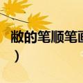 敝的笔顺笔画顺序怎么写（敝的笔顺笔画顺序）
