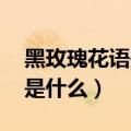 黑玫瑰花语是什么意思 寓意（黑玫瑰的花语是什么）