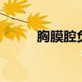 胸膜腔负压的概念（胸膜腔负压）