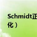 Schmidt正交化之后的矩阵（schmidt正交化）