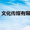 文化传媒有限公司英文翻译（公司英文翻译）