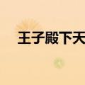王子殿下天天见（王子殿下的天使之吻）