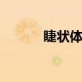 睫状体有屈光作用吗（睫状体）