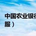 中国农业银行客服在线咨询（中国农业银行客服）