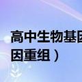 高中生物基因突变和基因重组（基因突变和基因重组）