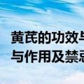 黄芪的功效与作用及禁忌副作用（黄芪的功效与作用及禁忌）