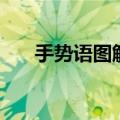 手势语图解大全（手势语图片及意思）