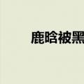 鹿晗被黑事件有哪些（鹿晗黑历史）