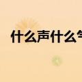 什么声什么气的词语（什么声什么气成语）