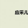 应采儿持有毒品（应采儿吸毒）