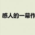 感人的一幕作文600个字（感人的一幕作文）