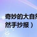 奇妙的大自然手抄报内容二年级（奇妙的大自然手抄报）