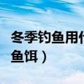 冬季钓鱼用什么鱼饵鱼上钩（冬季钓鱼用什么鱼饵）