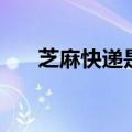 芝麻快递是什么快递（芝麻开门快递）